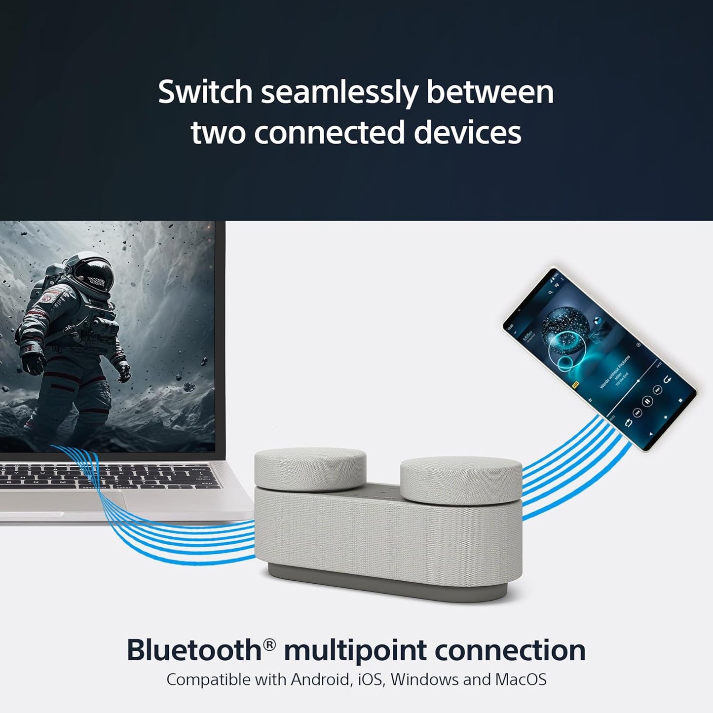 Sony Portable Home Theater System