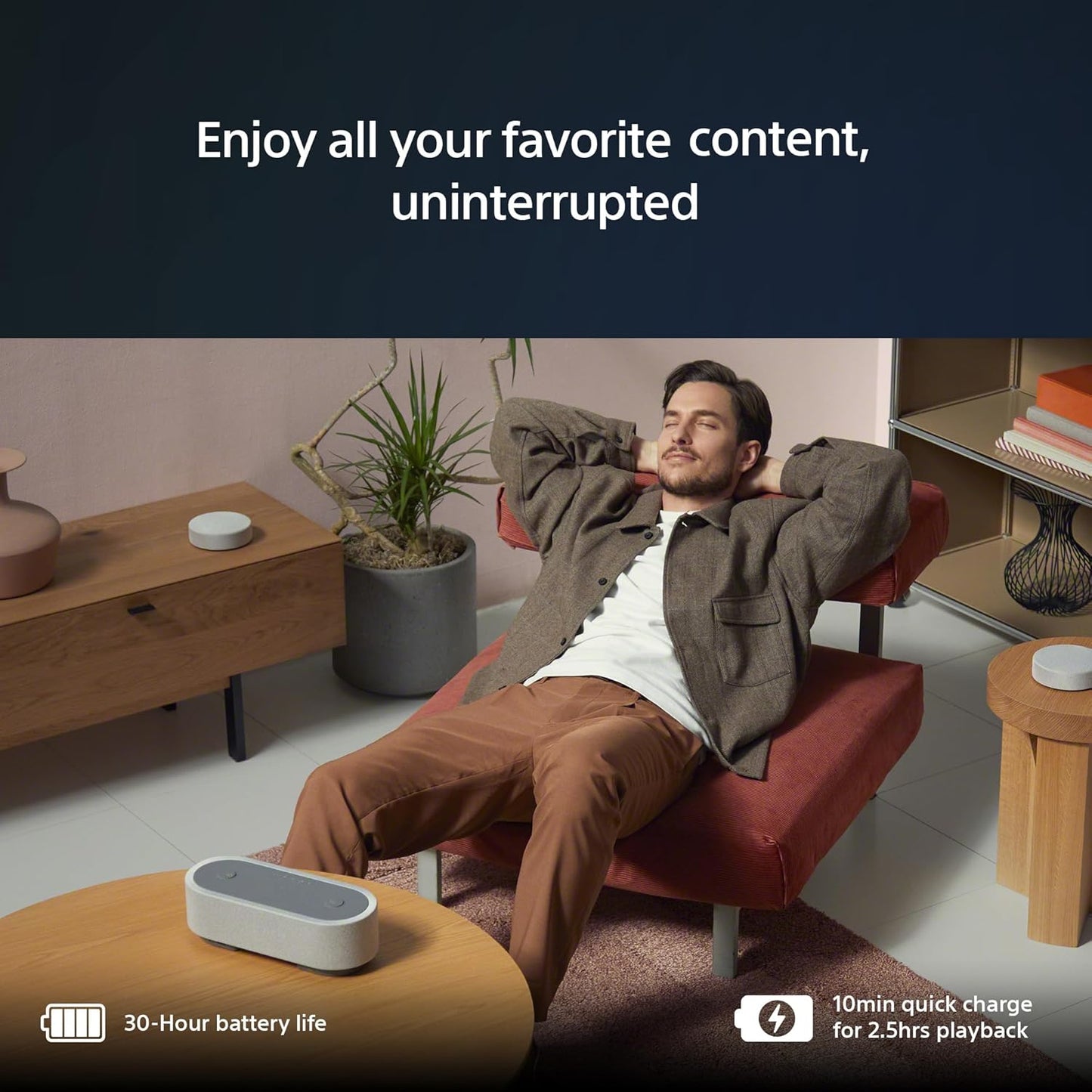 Sony Portable Home Theater System
