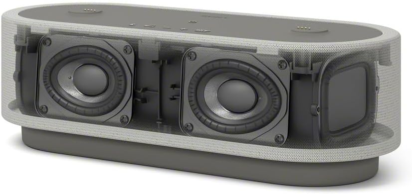 Sony Portable Home Theater System