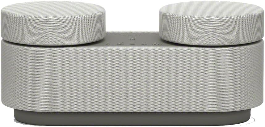 Sony Portable Home Theater System