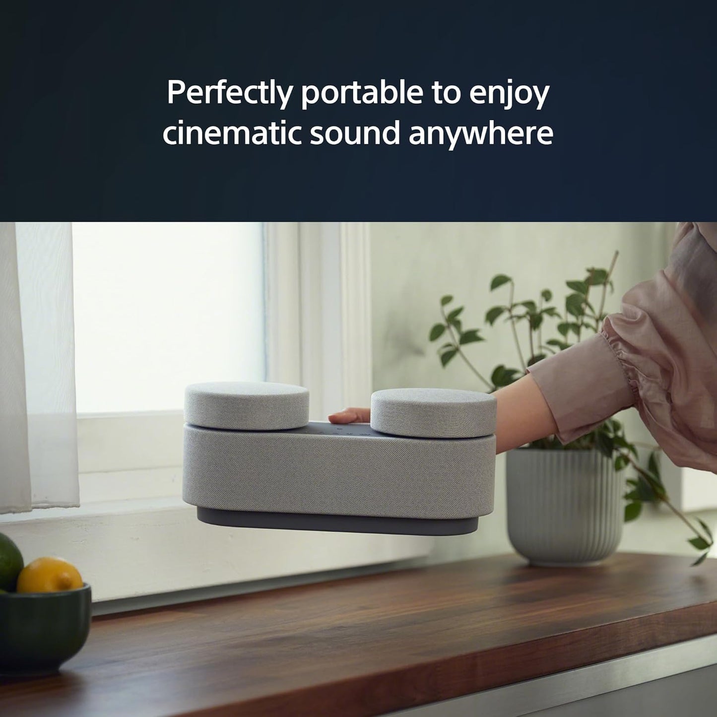 Sony Portable Home Theater System