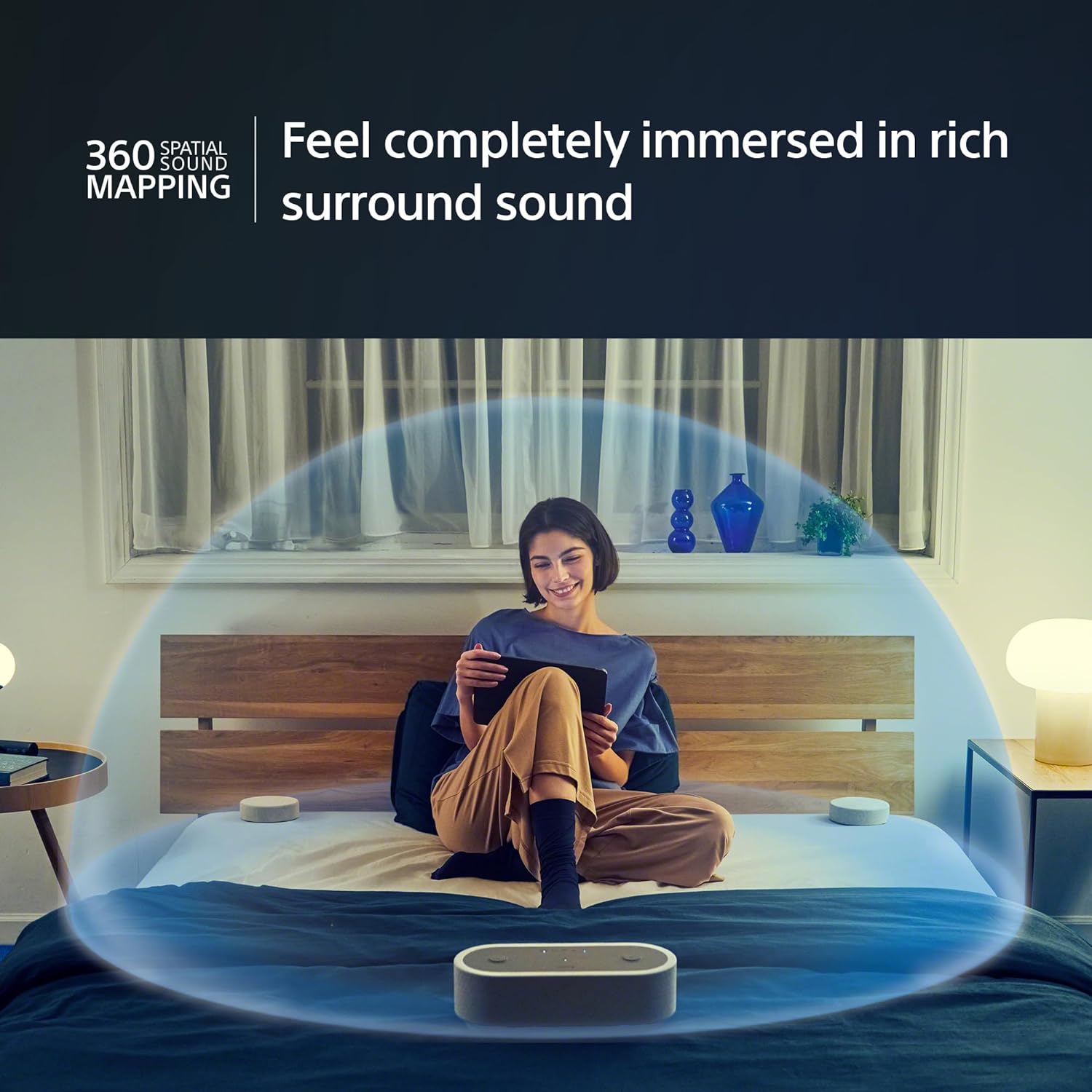 Sony Portable Home Theater System