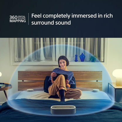 Sony Portable Home Theater System