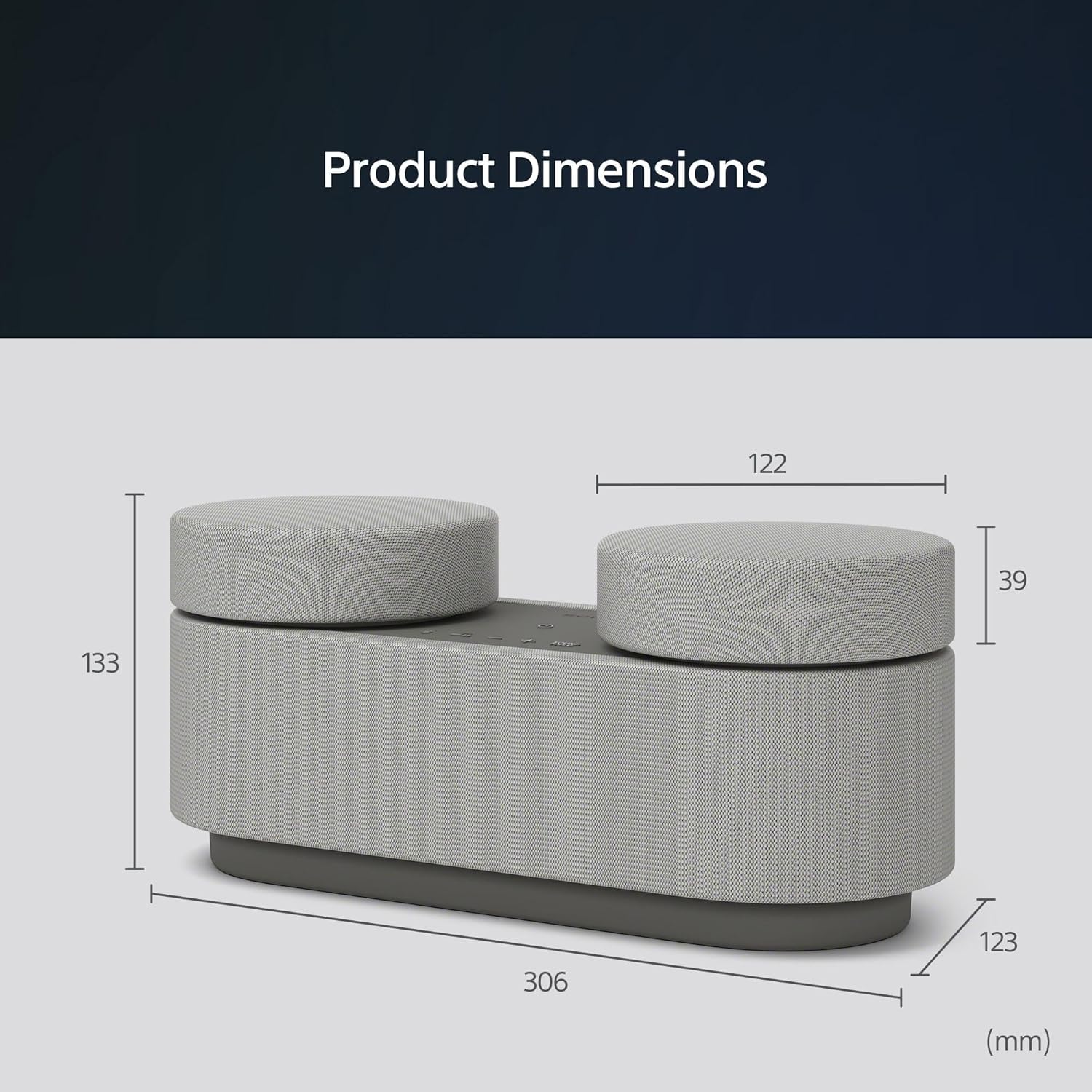 Sony Portable Home Theater System