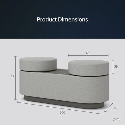 Sony Portable Home Theater System