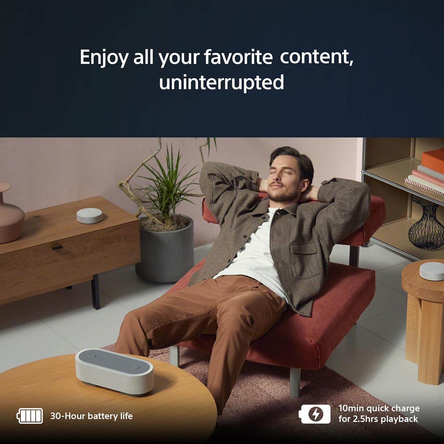 Sony Portable Home Theater System